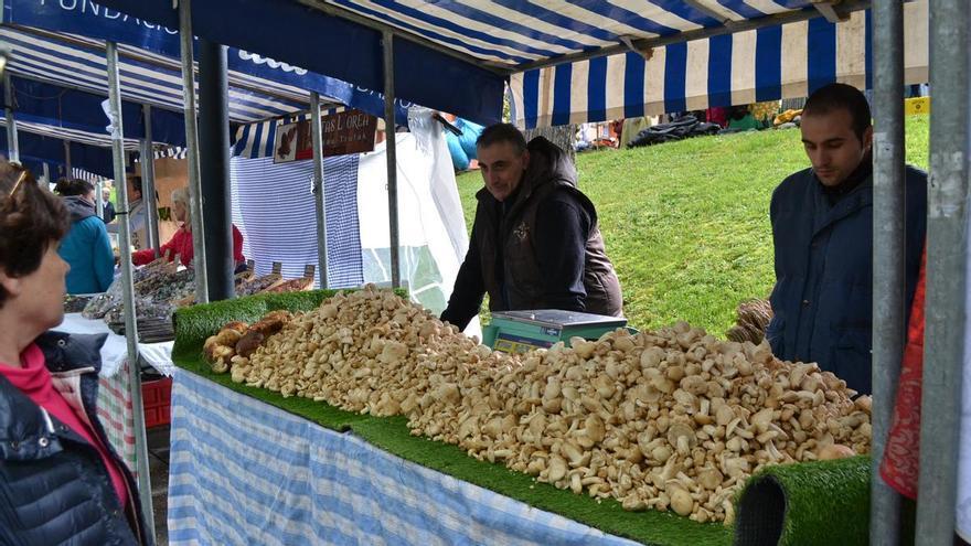 Llega a Kuartango la feria del perretxiko y la vaca terreña