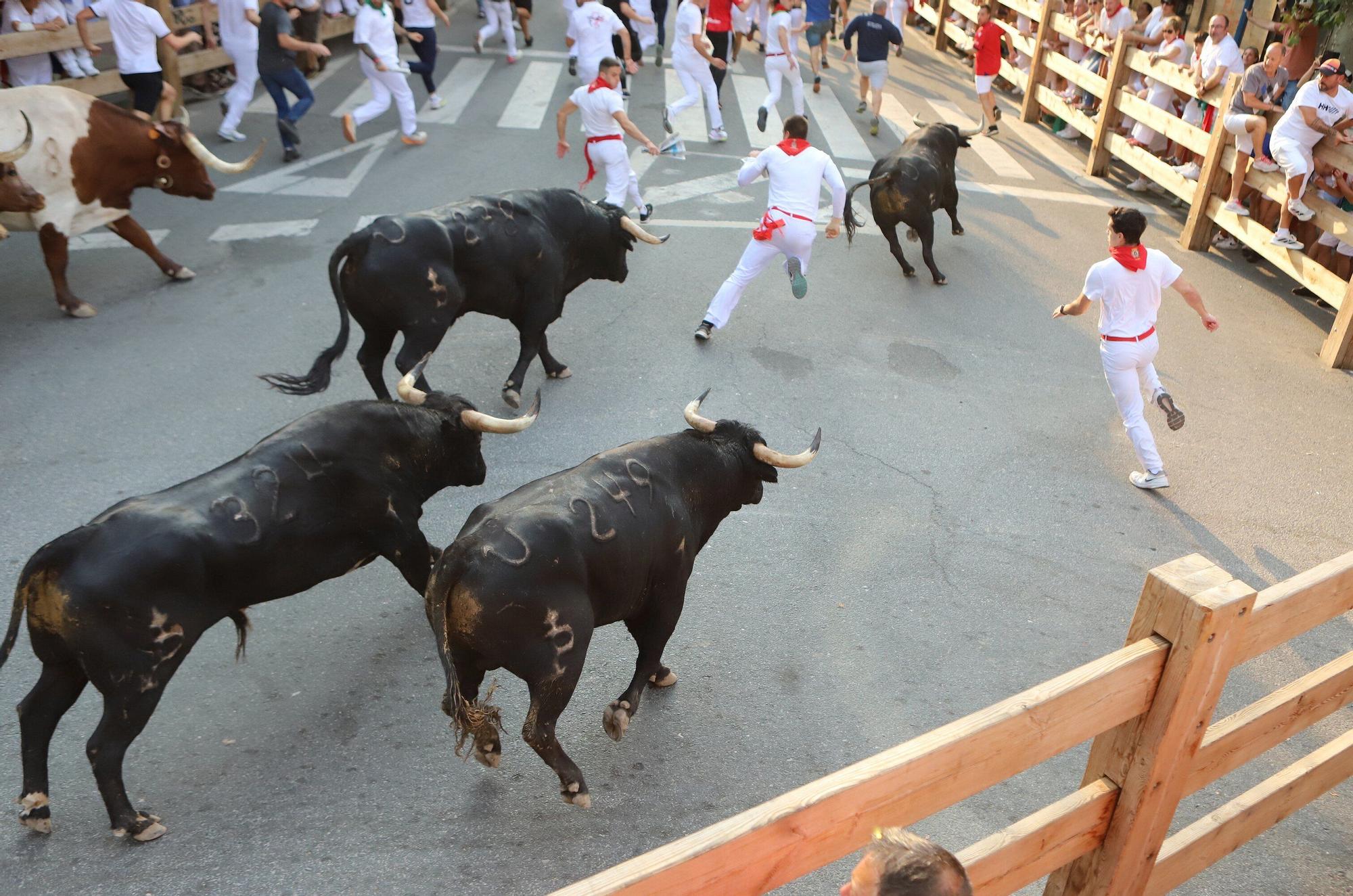 Fotos del segundo encierro de fiestas de Tafalla 2025