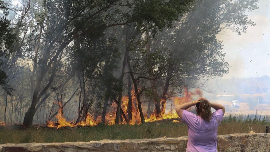 La DANA y los incendios