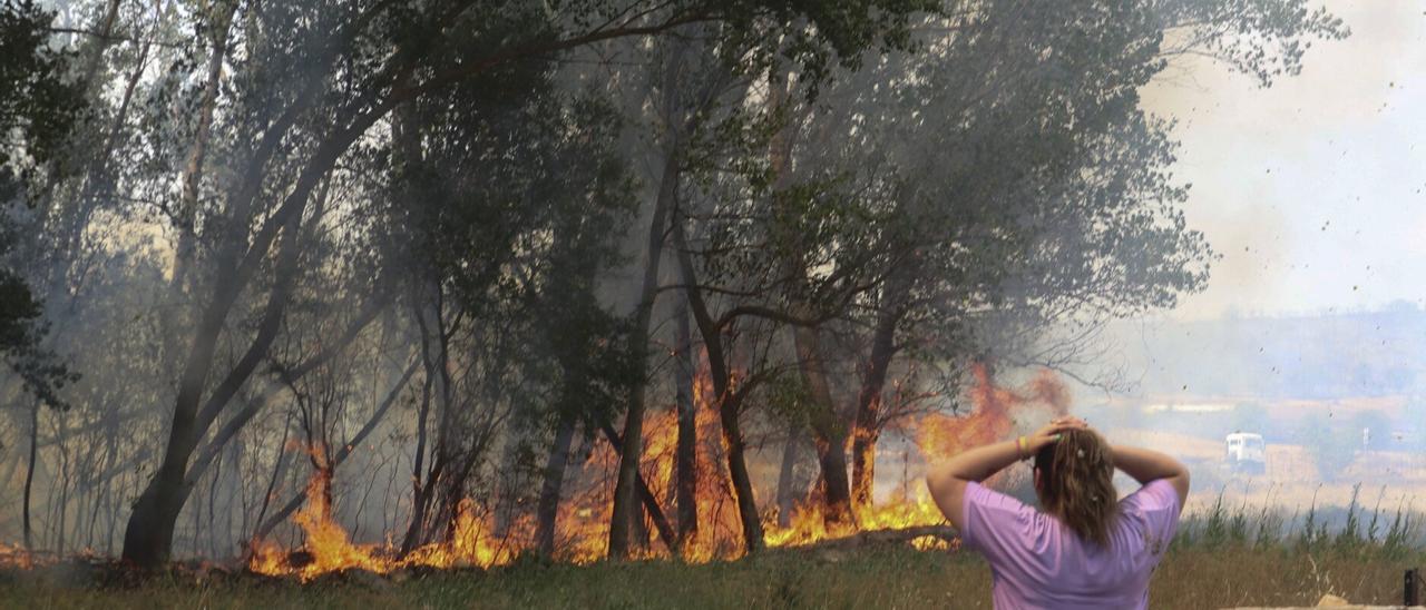 La DANA y los incendios