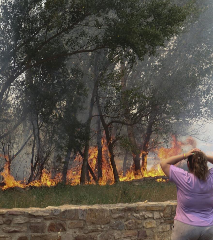 La DANA y los incendios
