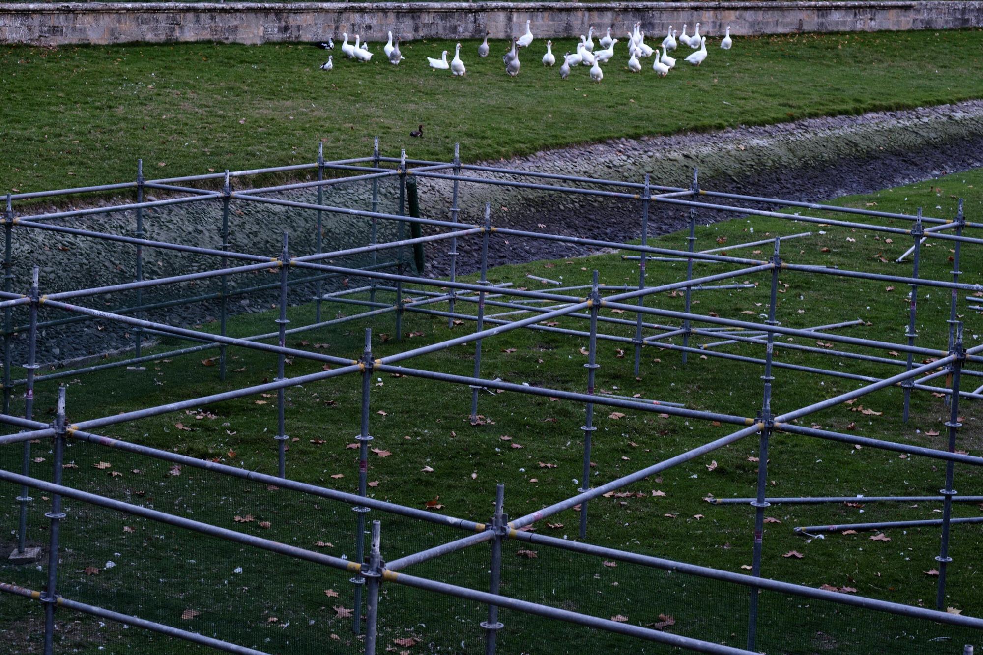 EN FOTOS | Estas son las jaulas que prepara el Ayuntamiento para confinar todas las aves de la Taconera