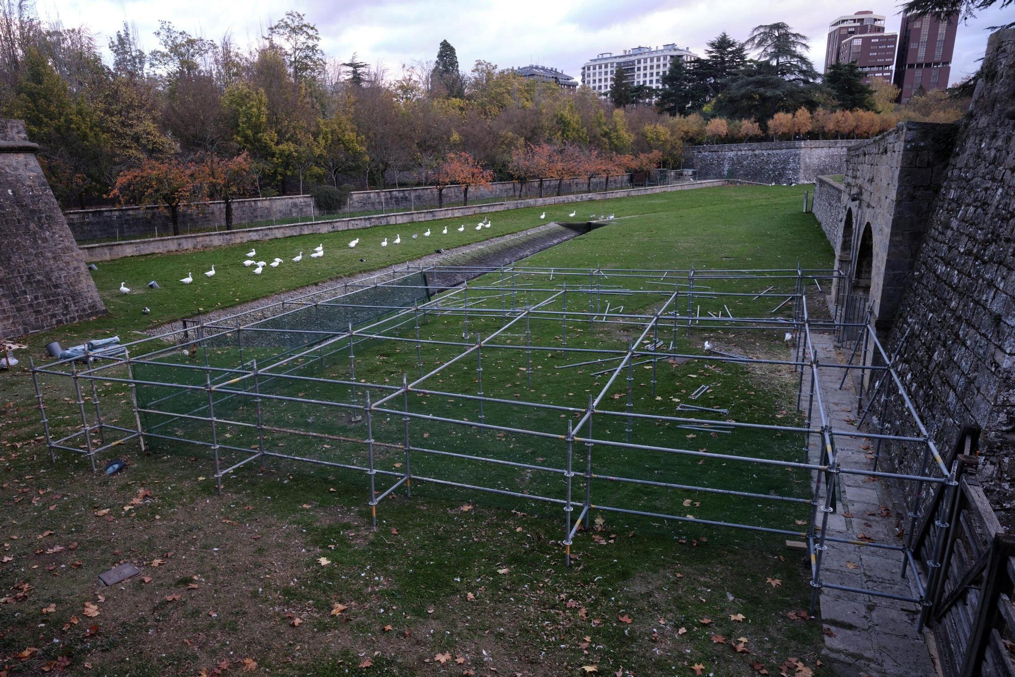 EN FOTOS | Estas son las jaulas que prepara el Ayuntamiento para confinar todas las aves de la Taconera
