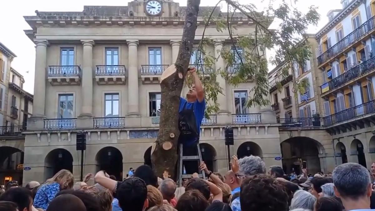 El fresno de Donostia