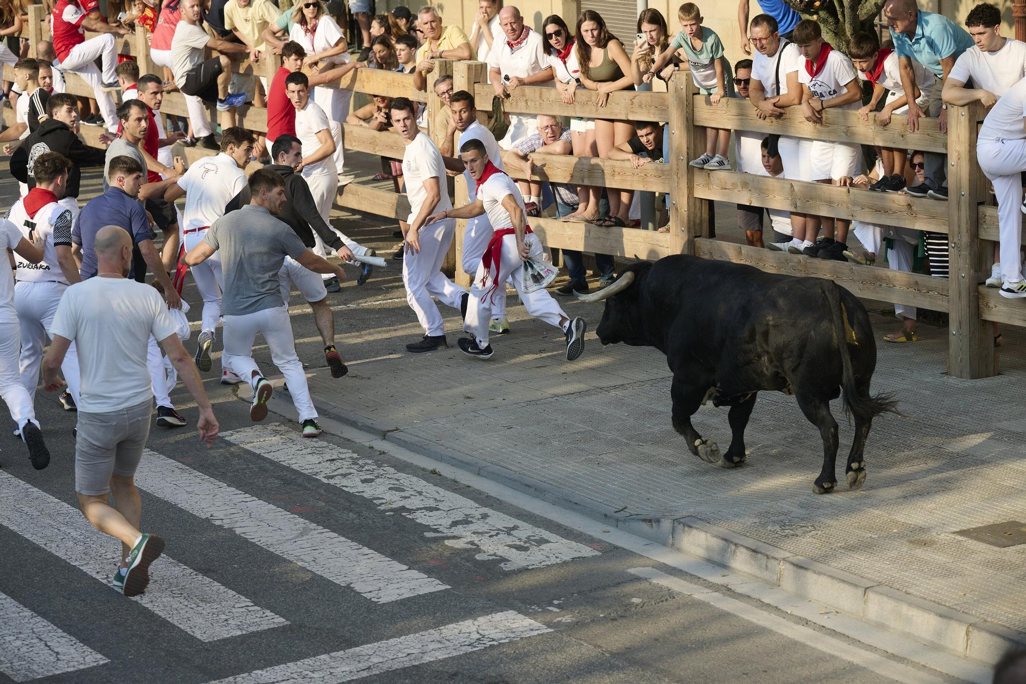 Fotos del primer encierro de fiestas de Tafalla