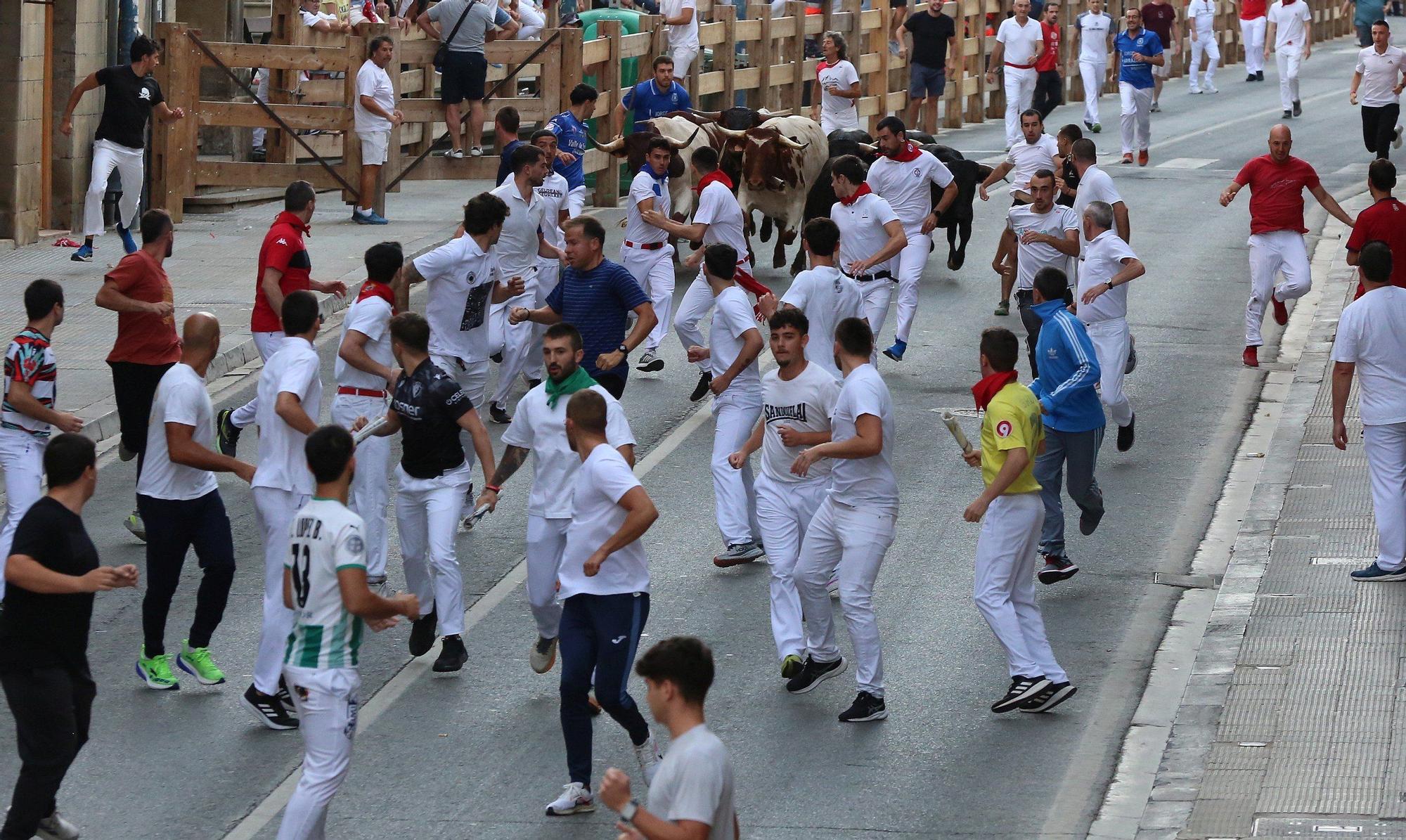 Fotos del cuarto encierro de fiestas de Tafalla 2025