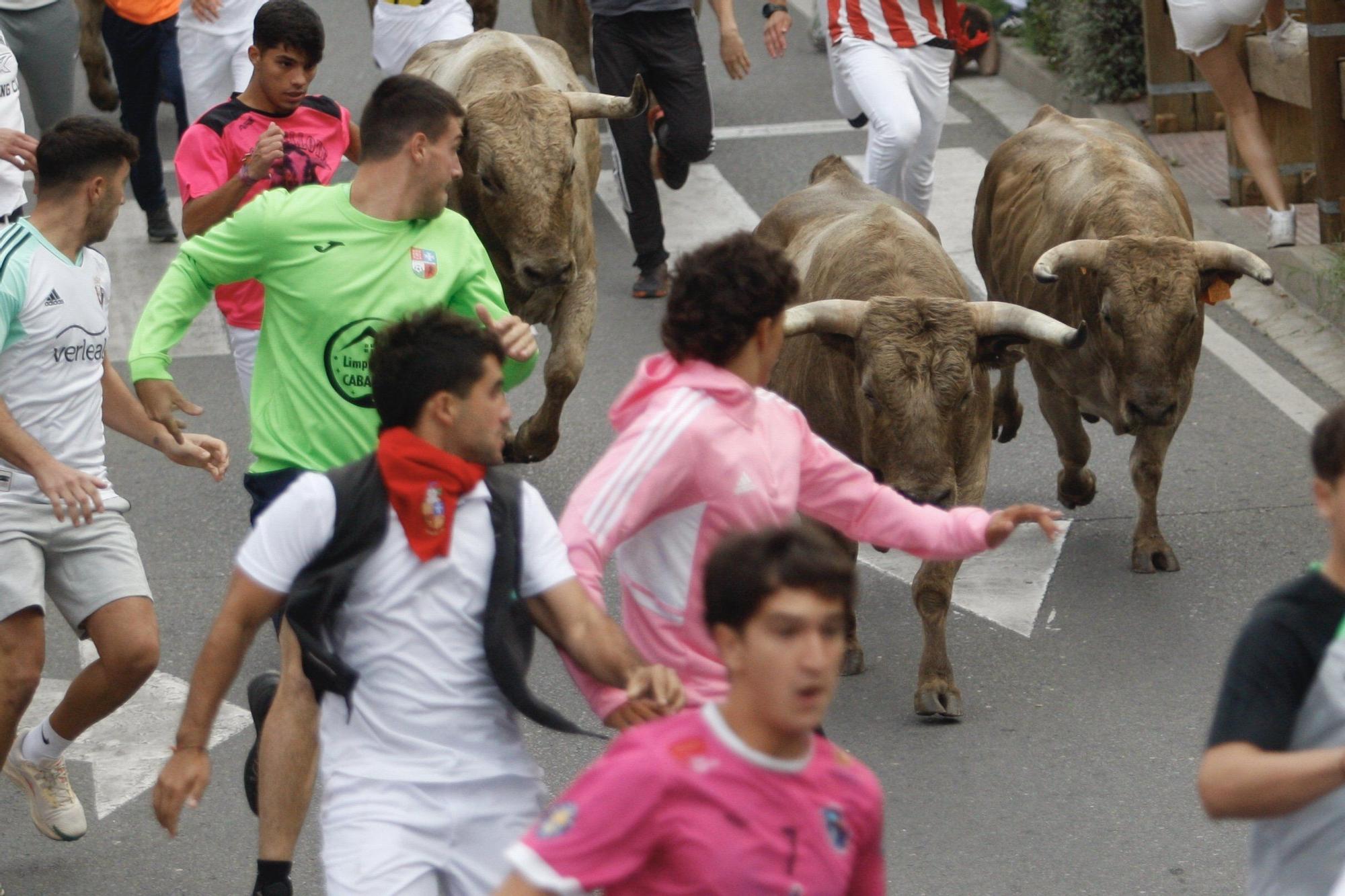 Fotos del sexto y último encierro de las fiestas de Tudela 2025
