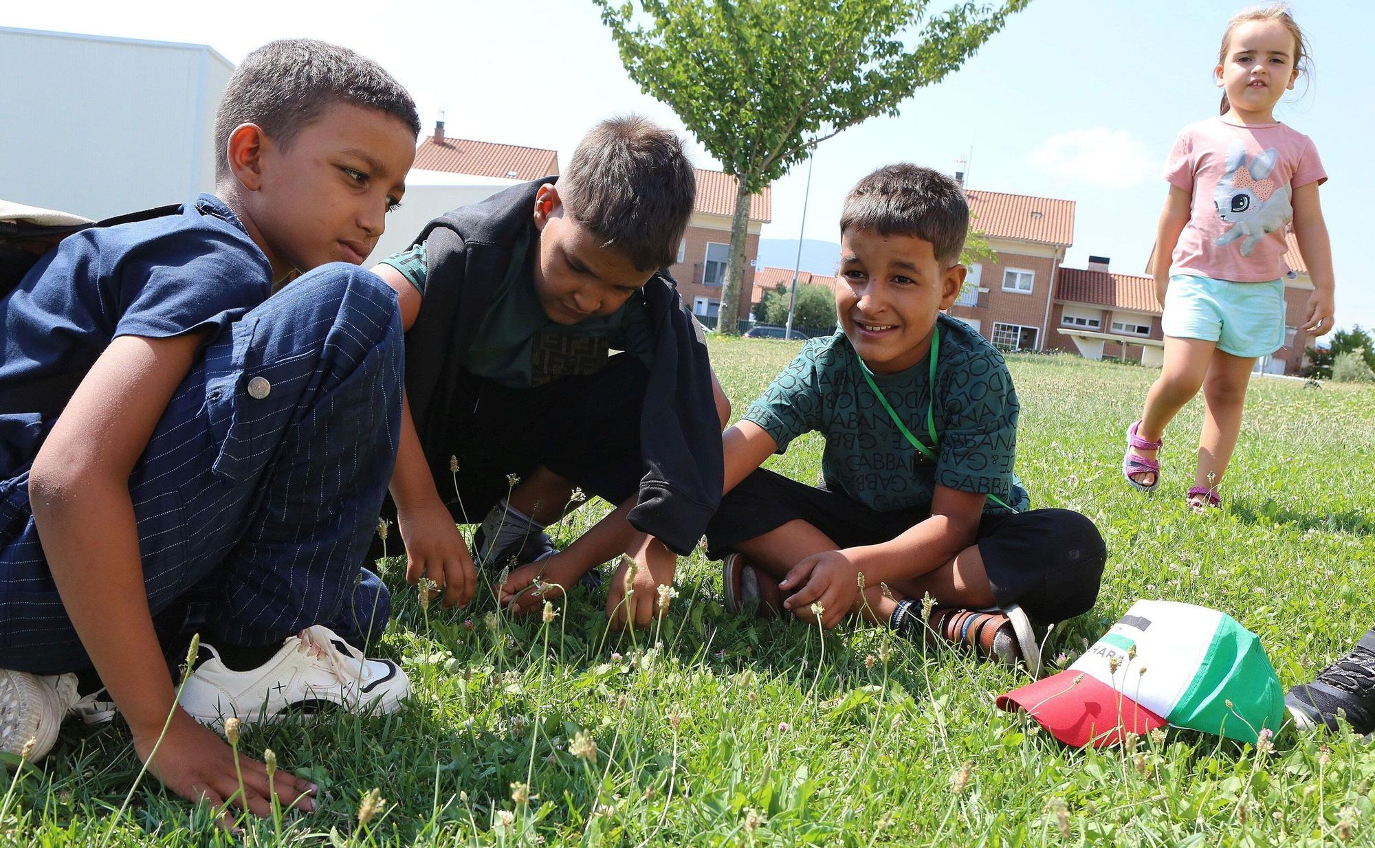 'Vacaciones en Paz': recepción a los niños saharauis que llegan a Navarra para pasar el verano