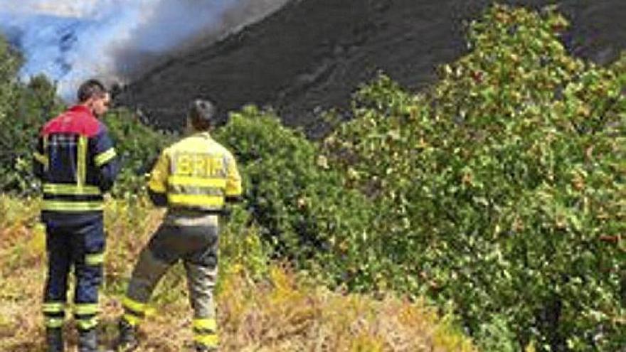 Bomberos de Navarra trabajan en los límites de Asturias y León en la extinción de un incendio