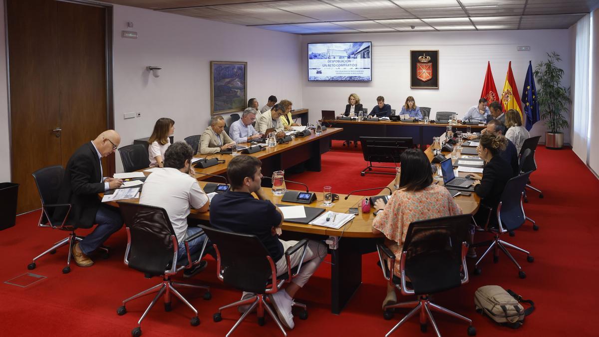 Representantes de la federación han presentado este miércoles en una comisión parlamentaria un documento con propuestas para hacer frente al reto de la despoblación.