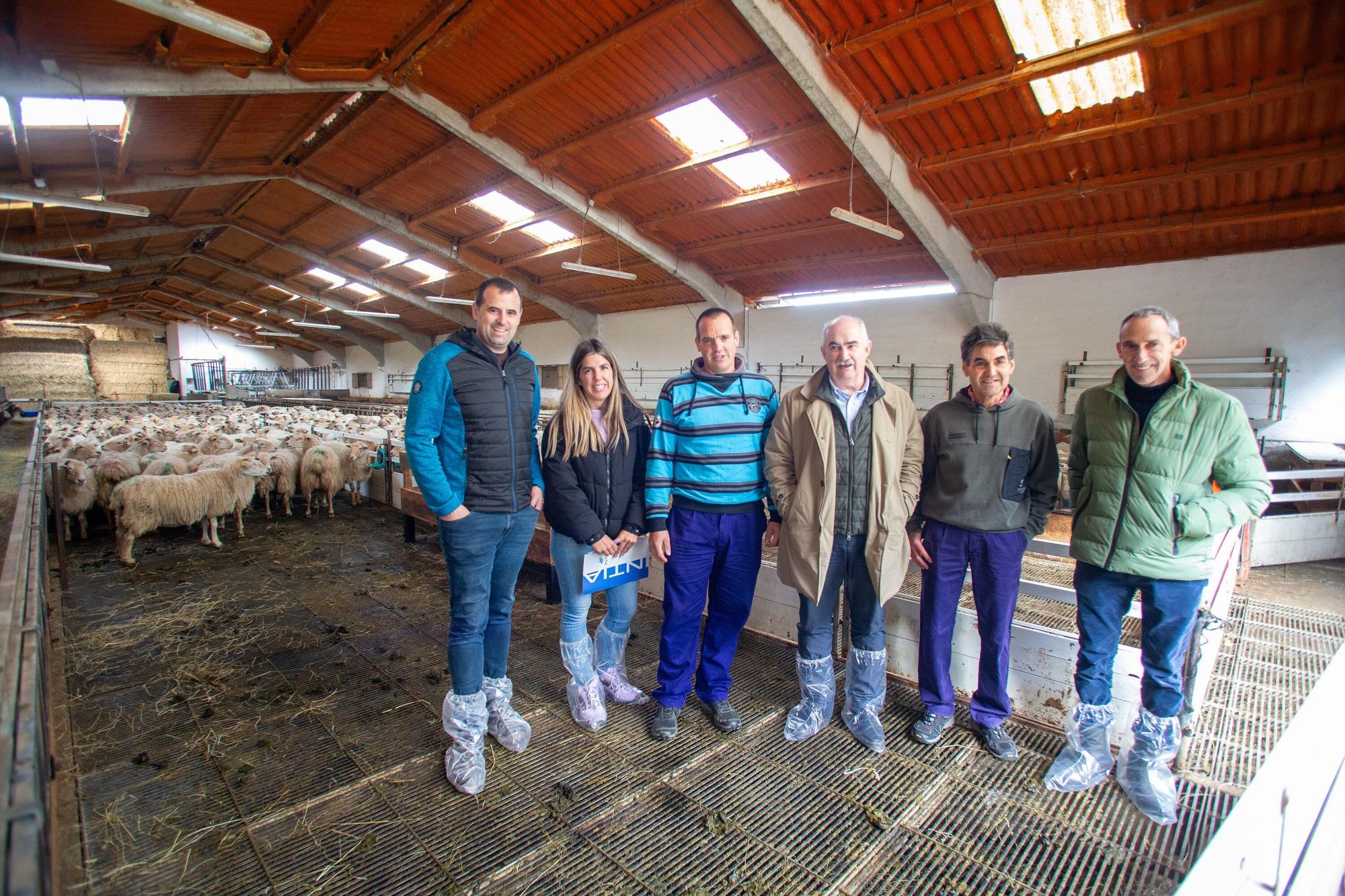 Fotos de la visita a la explotación ganadera de un joven que acaba de instalarse en Gaintza, en el valle de Araitz