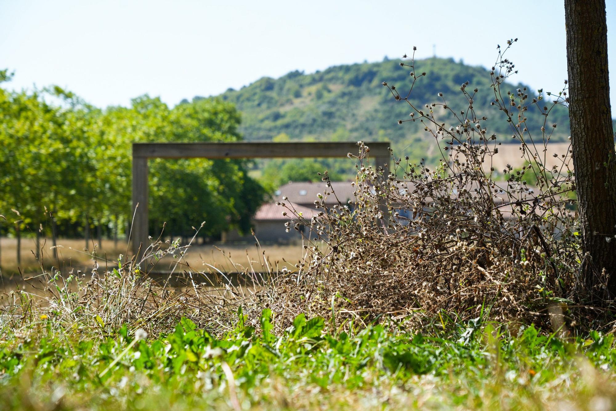 Así luce la campa de Olarizu tras 5 meses de huelga de jardineros