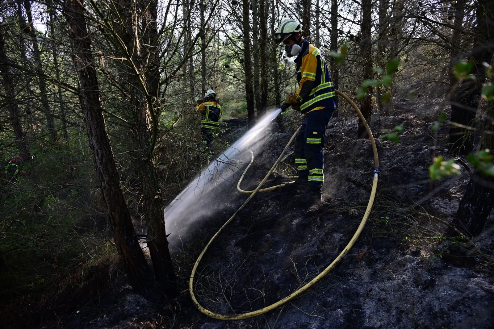 Imágenes de la zona afectada por el incendio en Enériz