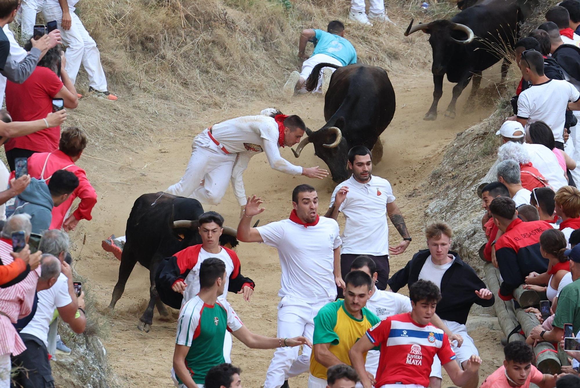 Fotos del tercer encierro del Pilón de Falces 2025