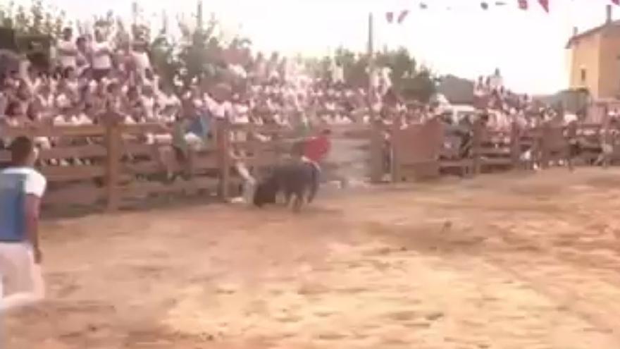 Vídeo de la embestida de una vaquilla a un periodista en Sesma