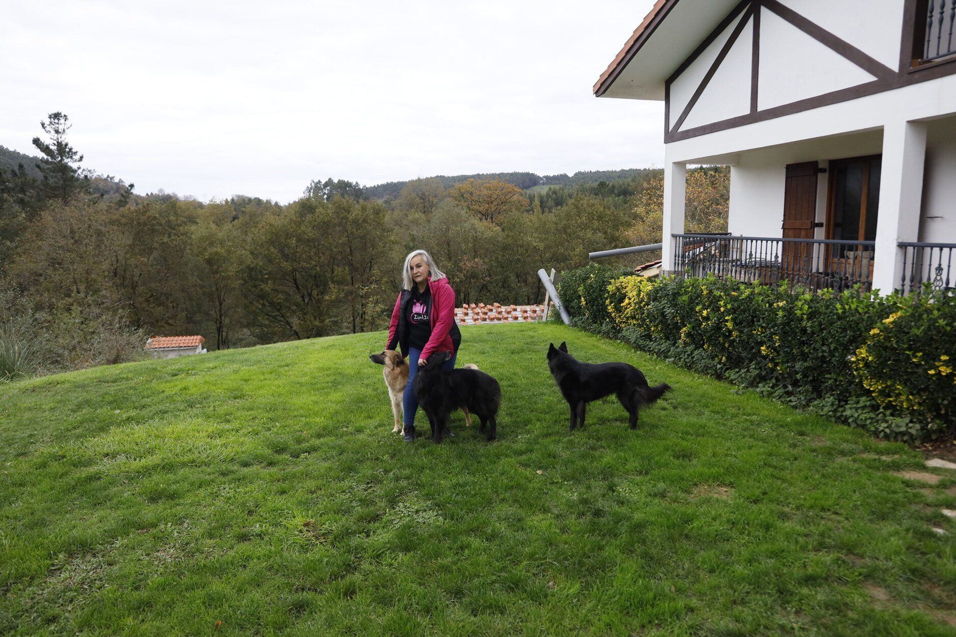 Zintzoa, un espacio de educación canina y hotel para perros