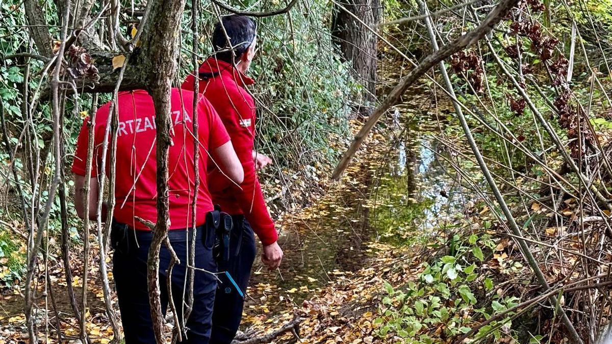 El cuerpo del hombre de 82 años desaparecido en Yécora ha sido localizado en una zona de difícil acceso El cuerpo del hombre de 82 años desaparecido en Yécora ha sido localizado en una zona de difícil acceso