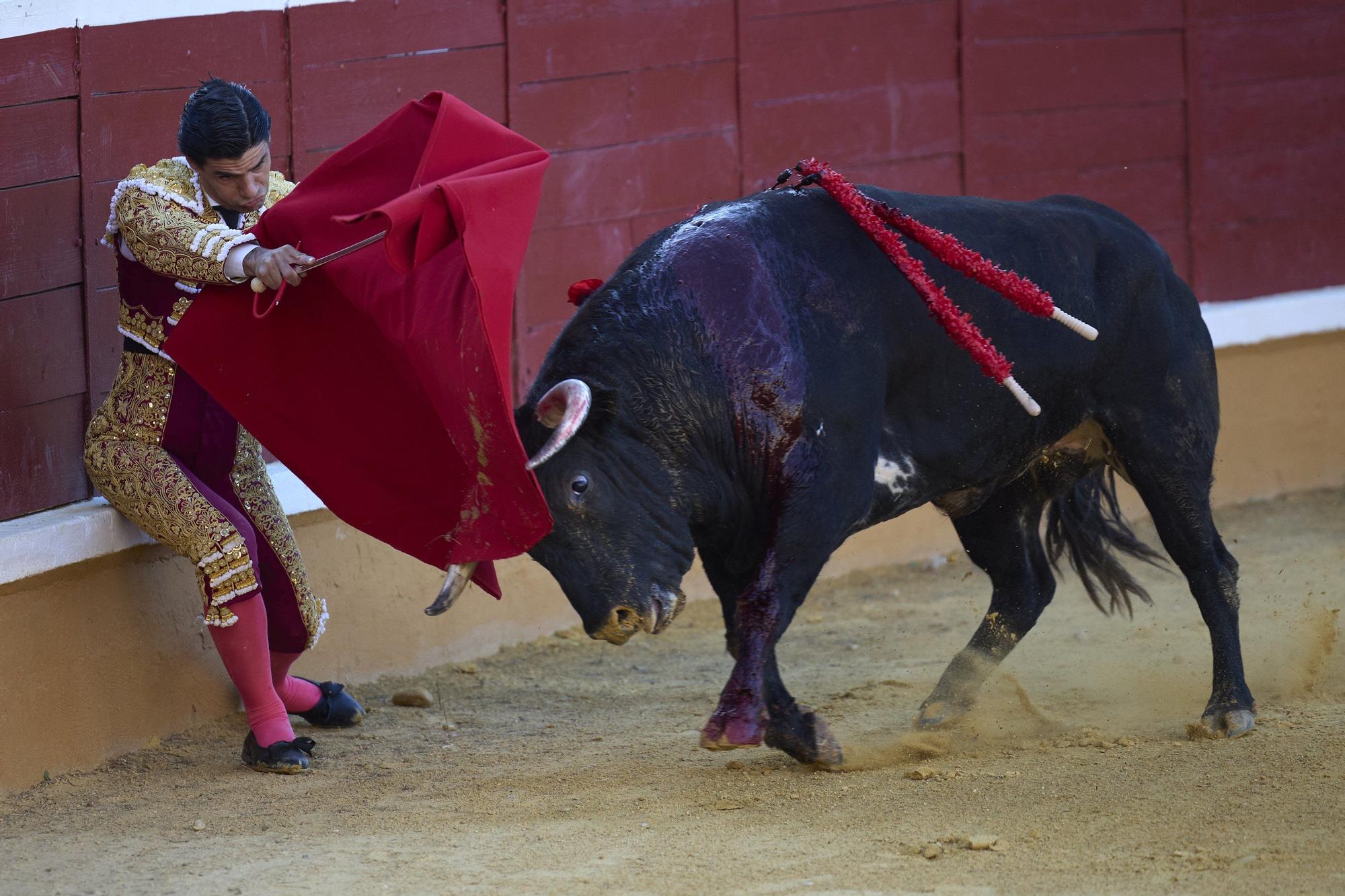 Fotos de la corrida de toros en Tudela con toros de Garzón Valdenebro
