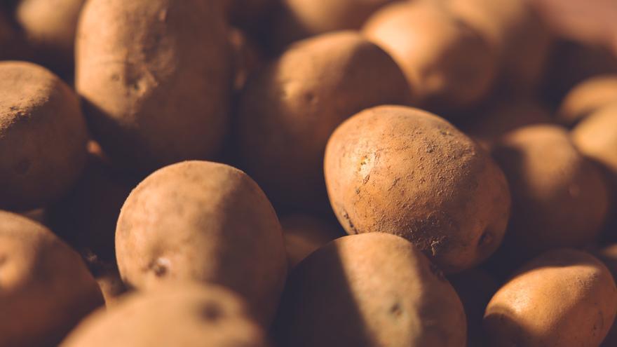 La patata de siembra de Álava recupera su lugar en el campo