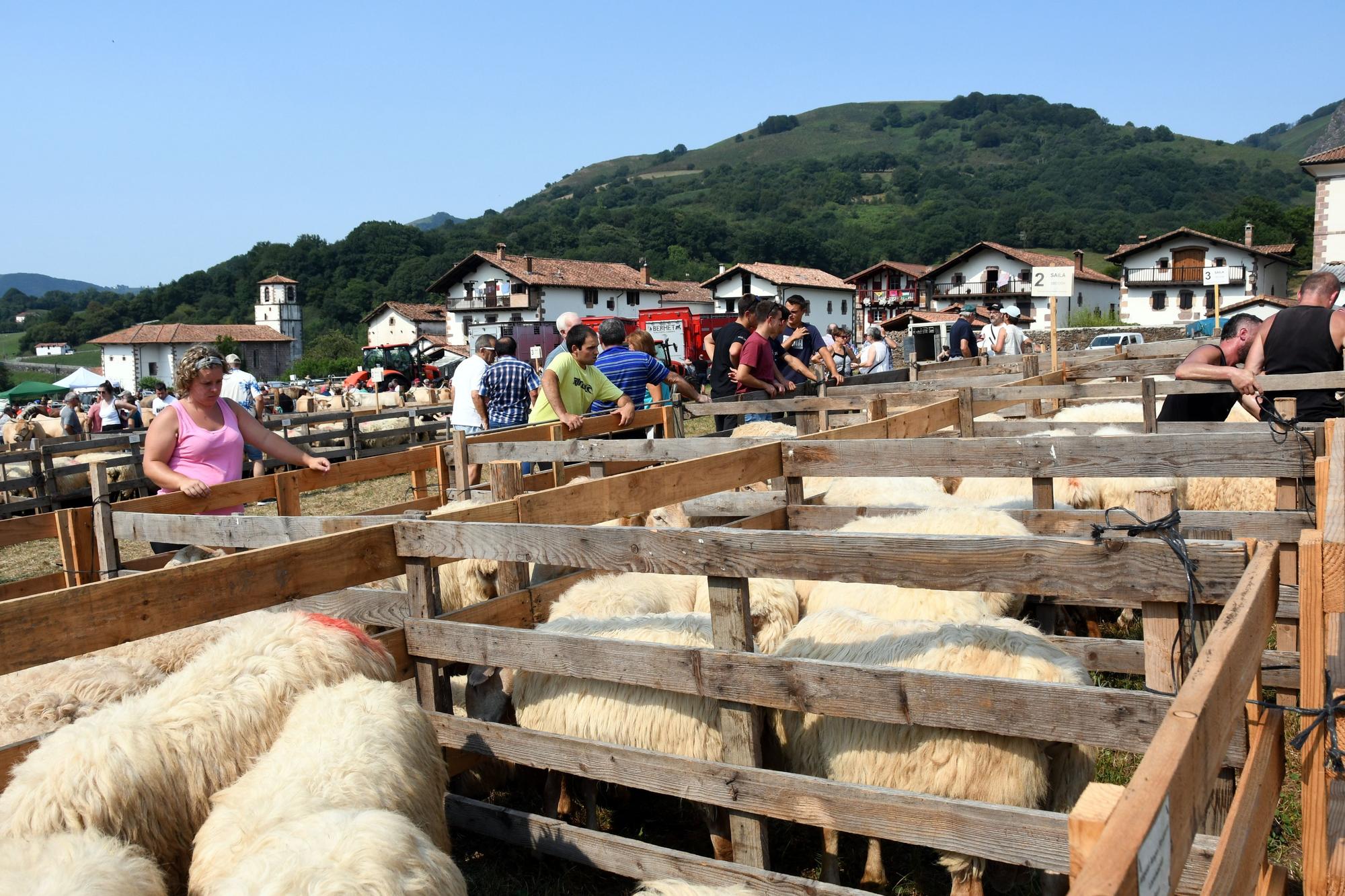 Artzai Eguna en Amaiur