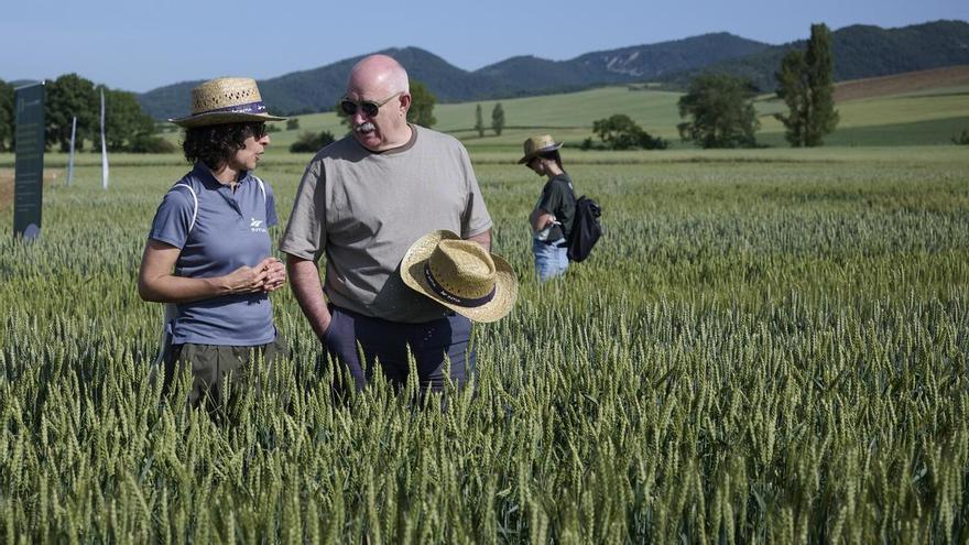 INTIA muestra al sector cerealista navarro nuevas técnicas para ahorrar agua y fertilizantes