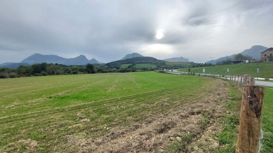 Ortu ludikoen proiektua amaitu du Durangok