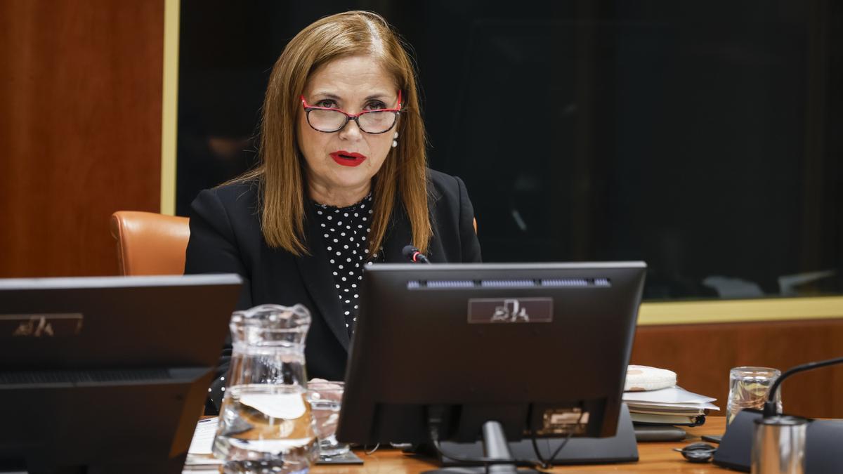 La consejera socialista, María Jesús San José