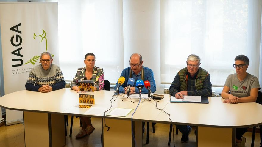 El concejo de Mendibil no seguirá con el contrato de alquiler de sus terrenos comunales con Solaria