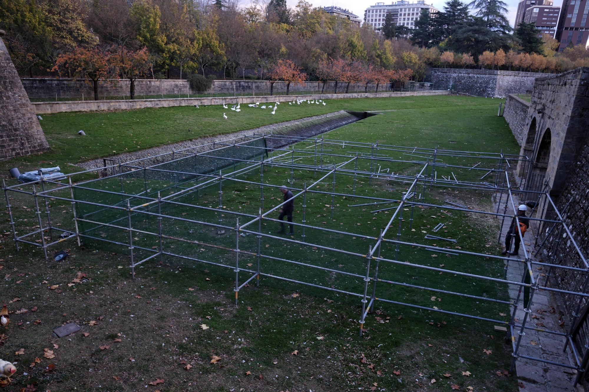 EN FOTOS | Estas son las jaulas que prepara el Ayuntamiento para confinar todas las aves de la Taconera