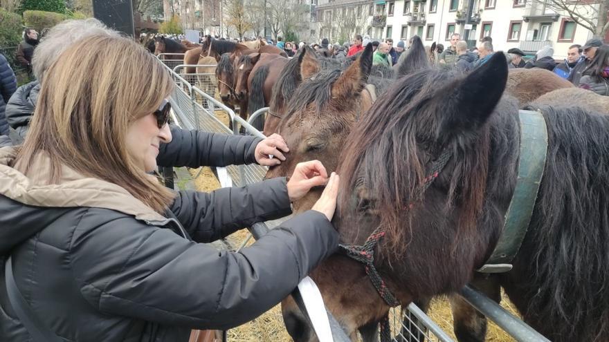 Larunbatean Santa Lutzi feria egingo dute Urretxu eta Zumarragan