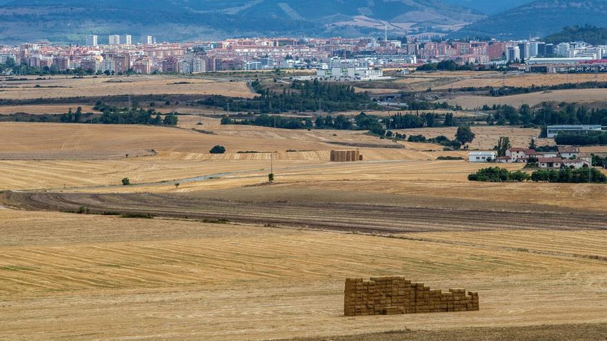 364 mujeres se dedican en exclusiva a la agricultura y ganadería en Navarra