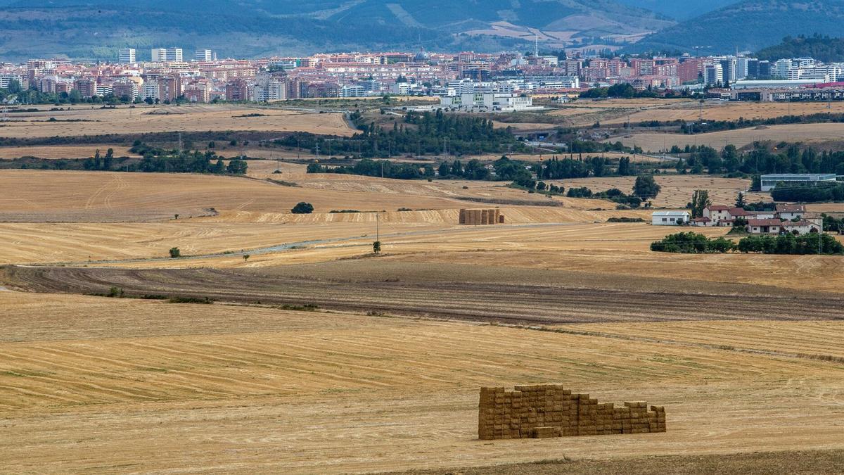 Campos de cereal cosechados en la Cuenca de Pamplona.