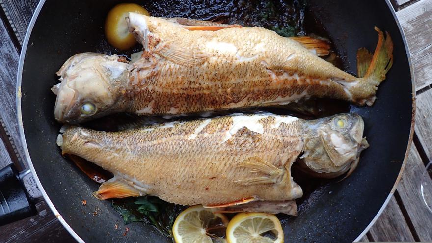 Consultorio de nutrición: ¿Es saludable comer la piel del pescado?