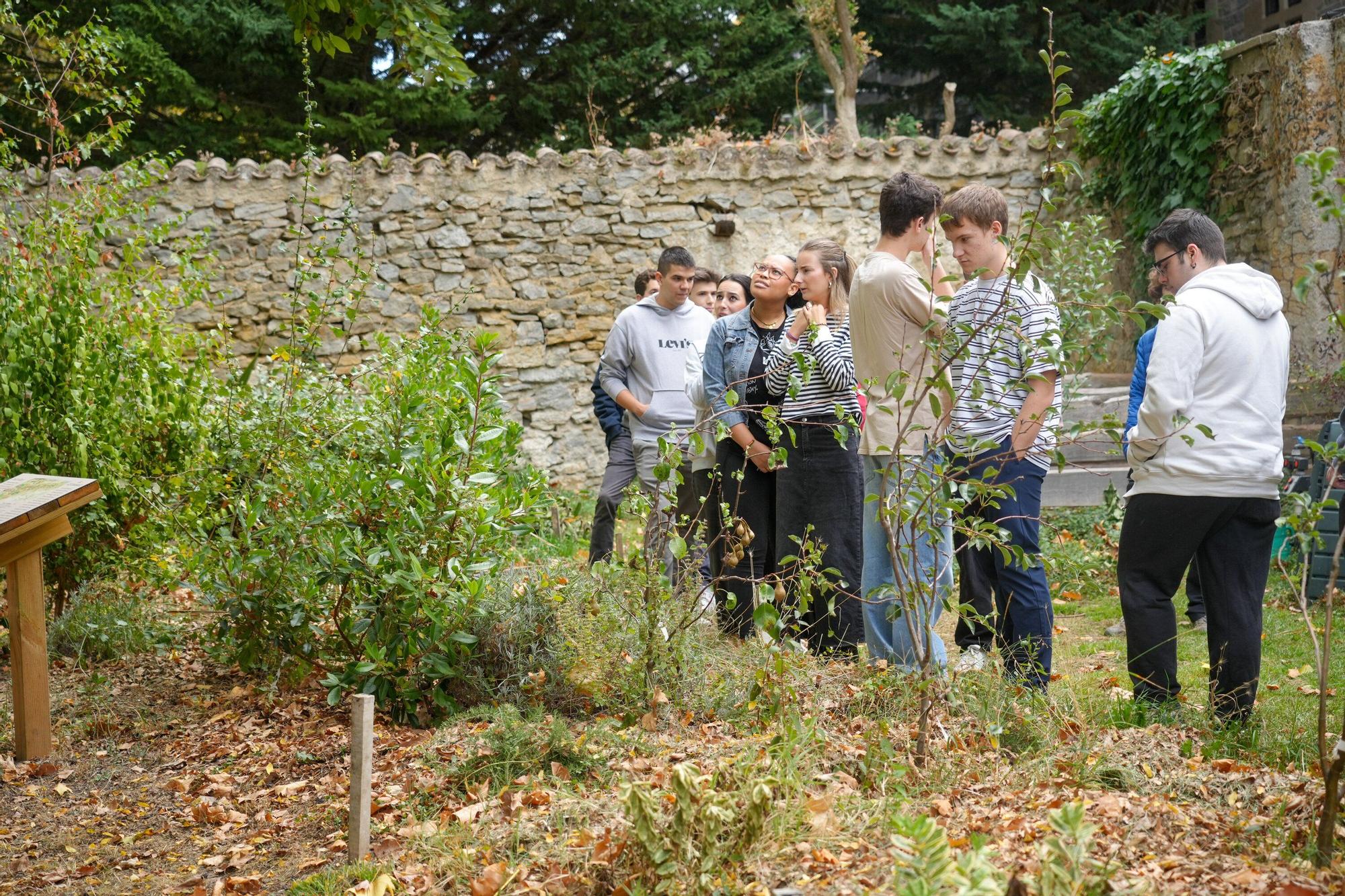 En imágenes: La UPV/EHU impulsa un curso de agricultura ecológica en el Campus de Álava