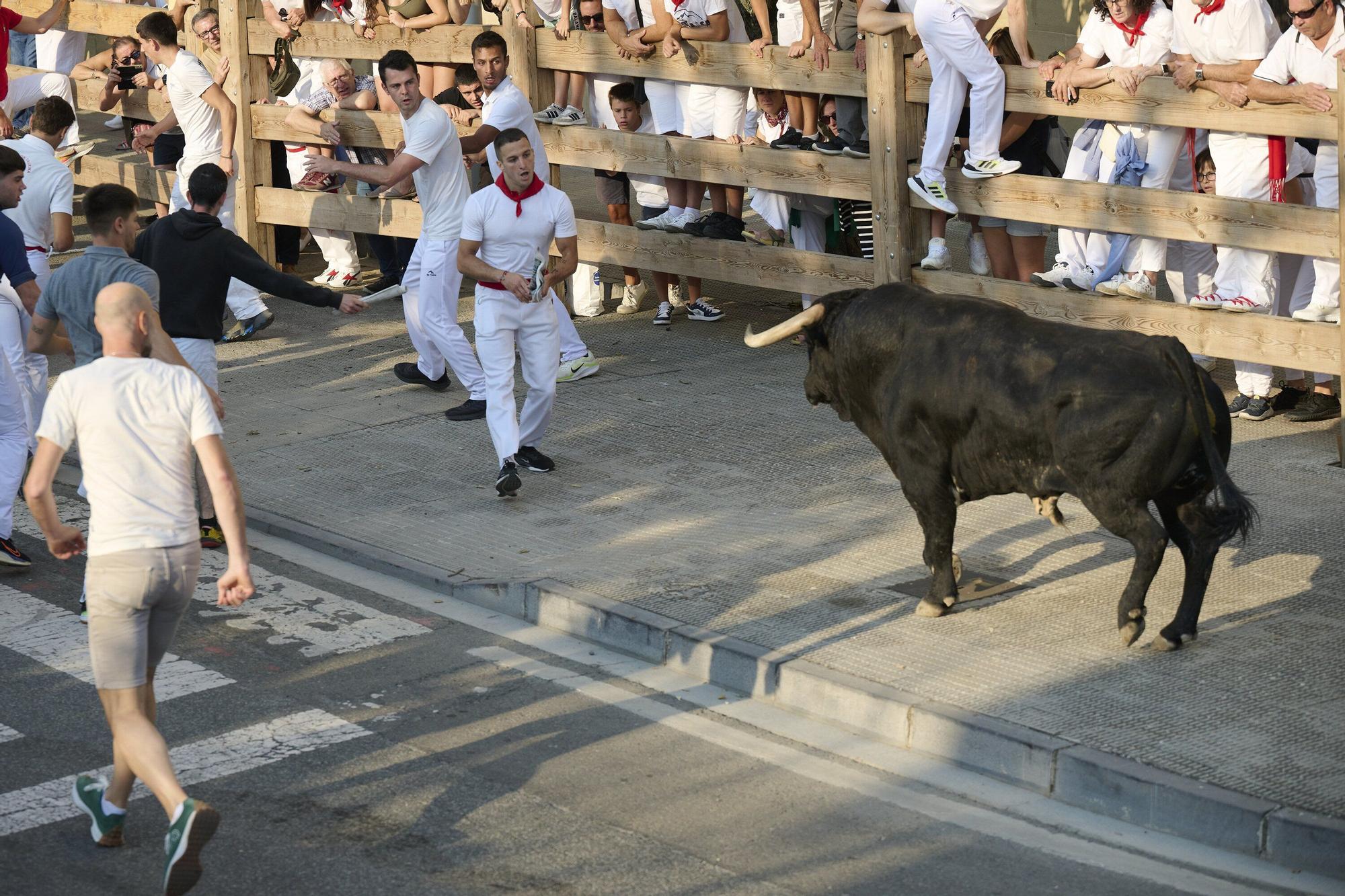 Fotos del primer encierro de fiestas de Tafalla