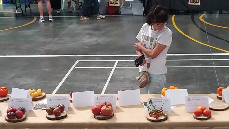 Elburgo celebra la cuarta edición de la Feria del Tomate antiguo