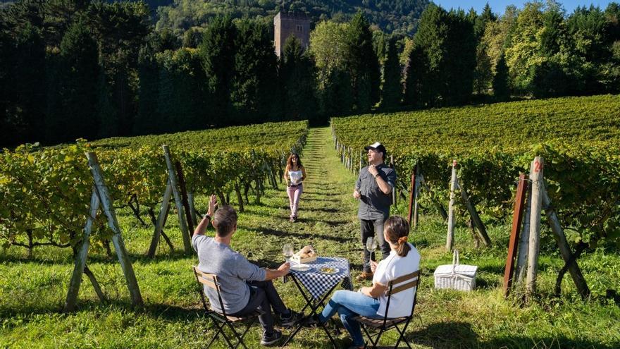 Semana Santa para saborear Bizkaia: la Ruta del Txakoli, un viaje entre viñedos, mar y tradición