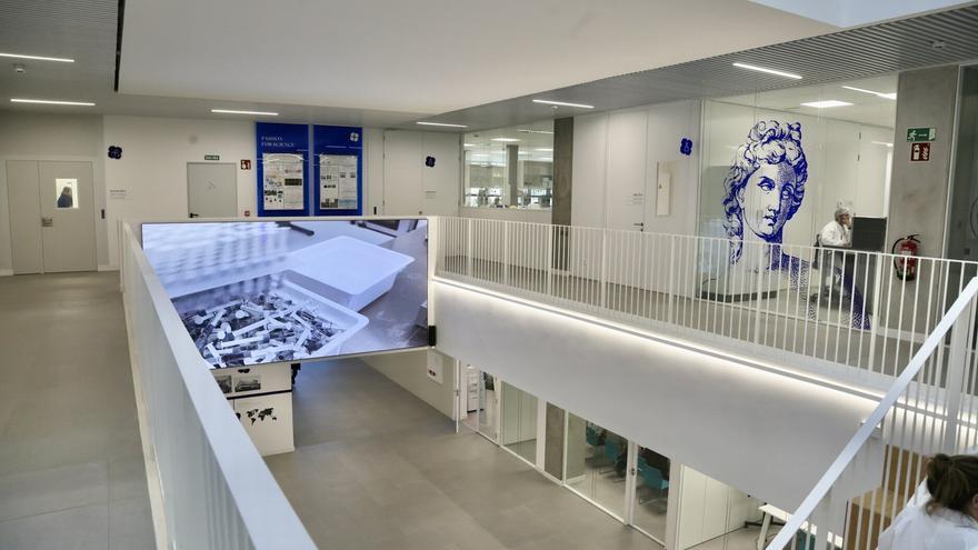 i+Med, una cooperativa de científicos en la vanguardia de la ingeniería biomédica