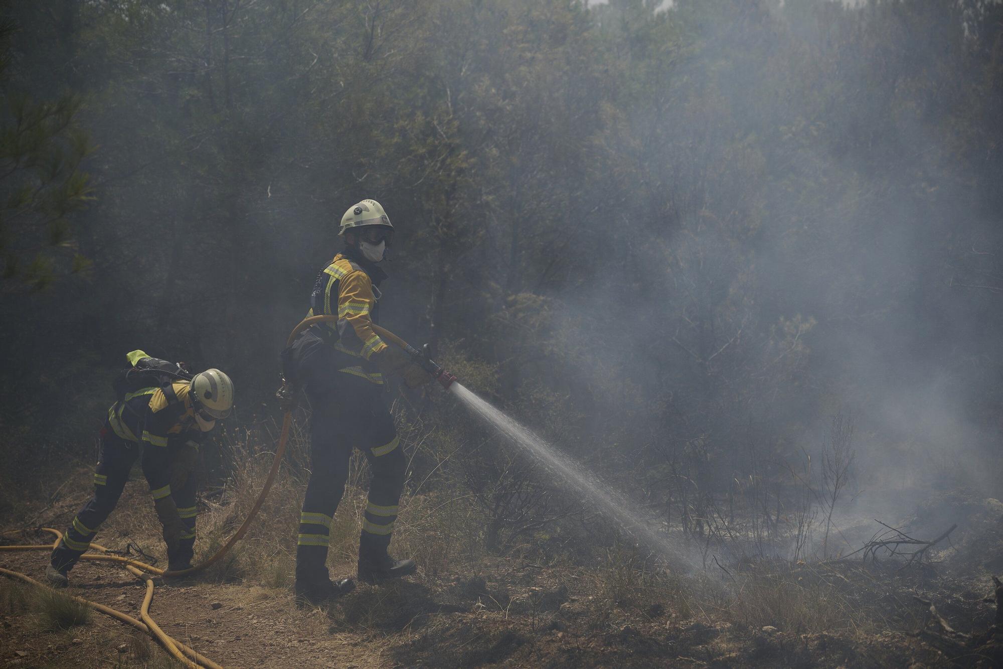 Fotos del incendio forestal cerca de Carcastillo