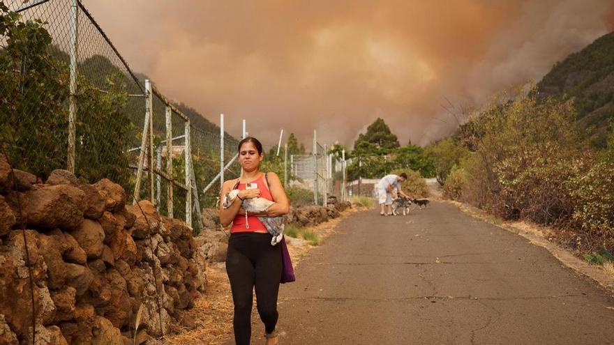 Los animales, las víctimas &quot;invisibles&quot; de los incendios forestales