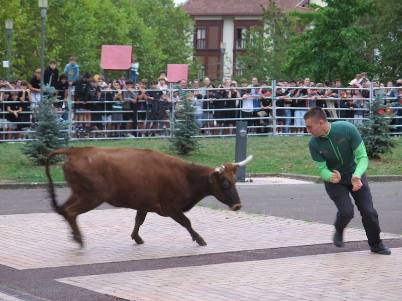 Los urretxuarras lo dan todo en las fiestas de Santa Anastasia