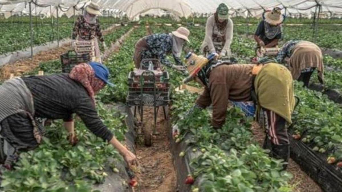 &#039;Sobrevivir a los campos de fresa&#039;, exposición que se puede visitar en la Casa de Cultura de Burlada hasta el 31 de octubre.