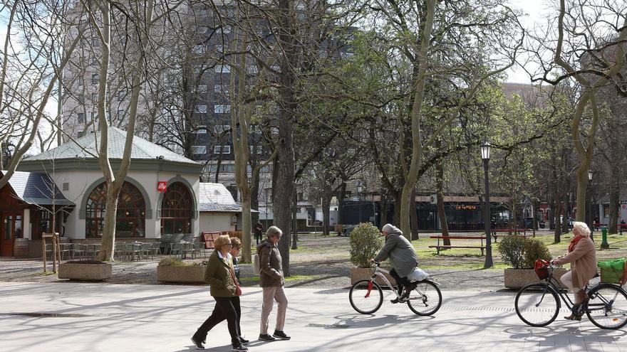 El 'arbolico' de San José florece antes de la primavera
