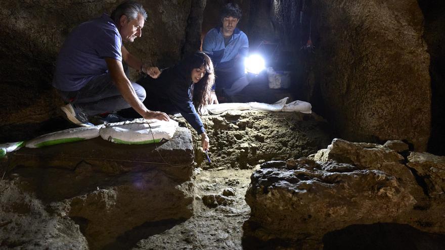 Hallazgo histórico en Abauntz: descubren los restos humanos más antiguos de Navarra de un neandertal de más de 44.000 años de antigüedad