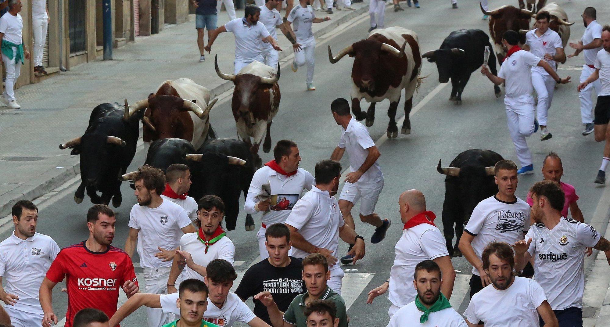 Fotos del segundo encierro de fiestas de Tafalla 2025