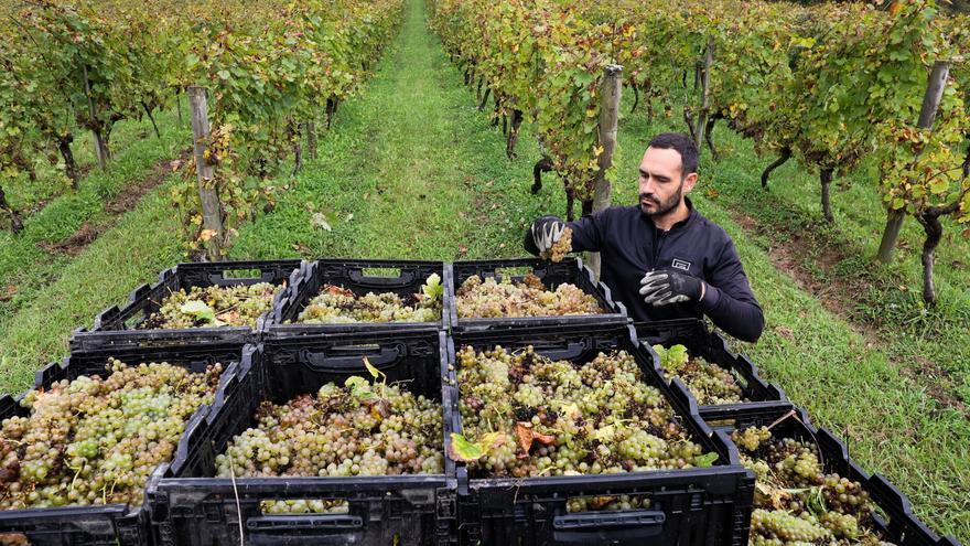 Embajador vizcaino de altura para el agroturismo vasco