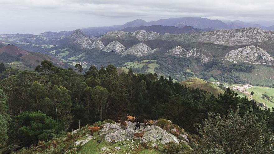 La ruta secreta a solo 20 minutos de Bilbao que sorprende a quienes buscan desconectar