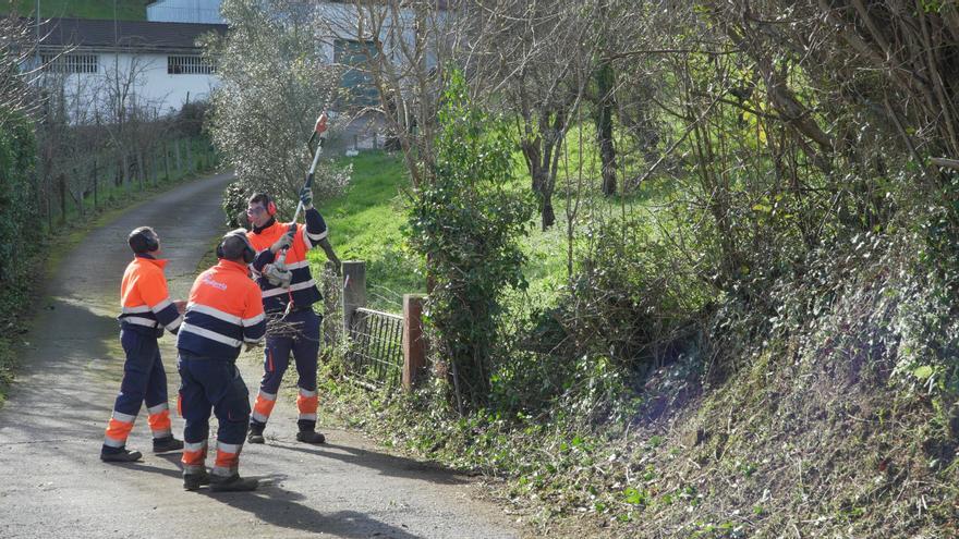 Gallarreta limpiará los caminos y zonas verdes de Muskiz