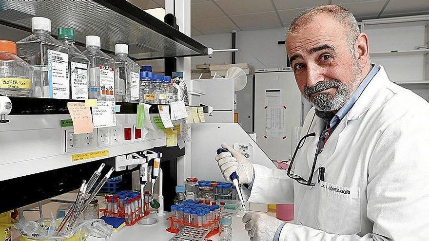 Ignacio López-Goñi, en su laboratorio. Foto: Efe