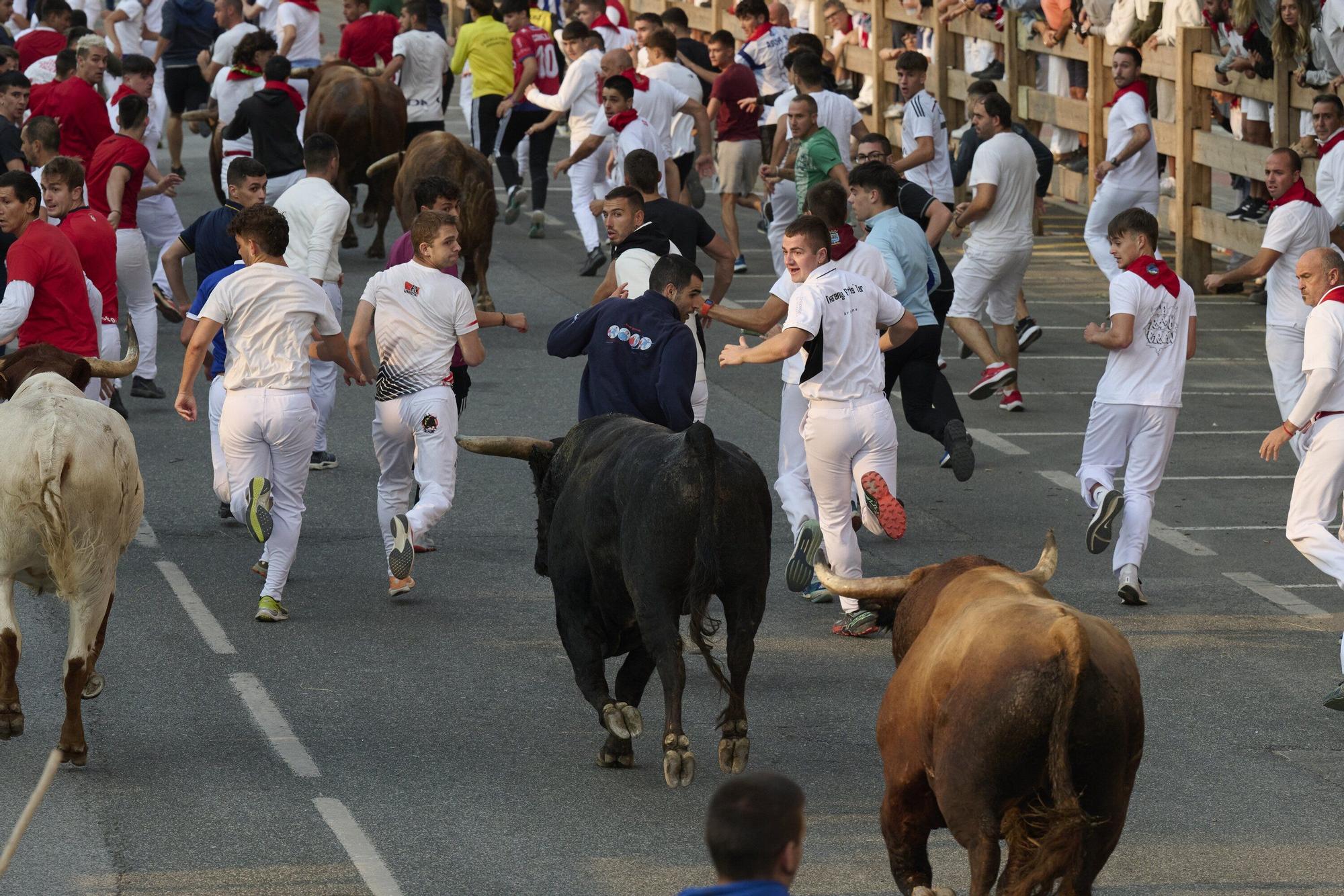 Fotos del sexto encierro de las fiestas de Tafalla 2025